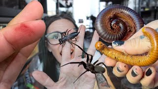It BURNED me! Strange Bug UNBOXING!