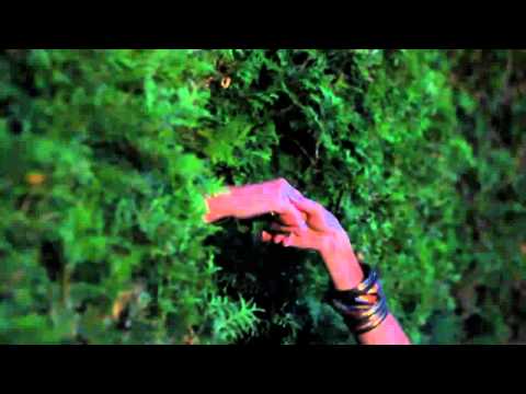 Max Lorens feat DJ Shevtsov & DJ Miller  ТВОЙ ГОРОД НЕ СПИТ