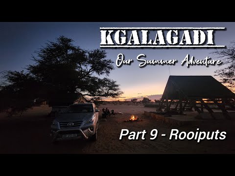 Our Kgalagadi summer: Part 9  - Rooiputs, campsite review, lion roaring, first night