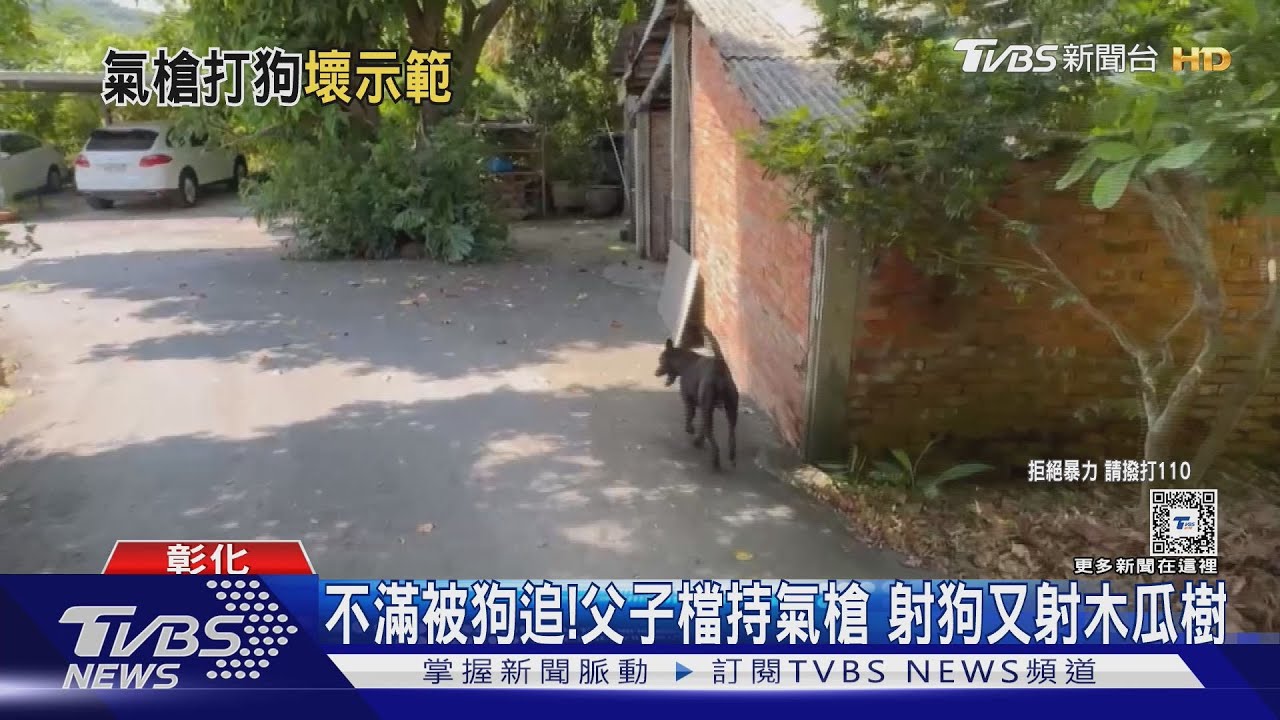 不滿被狗追！父子檔闖民宅持氣槍射狗又射木瓜樹