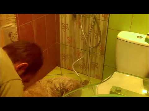 Lidt ældre videoklip hvor jeg bader mine 3 hunde på under 5 minutter