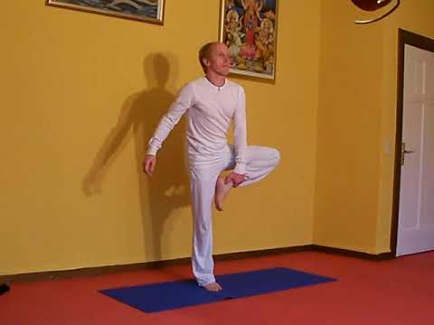 Baum Yoga Gleichgewichtsübung