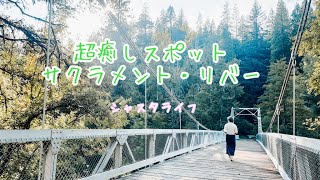 [ シャスタライフ ] 超癒しスポット　サクラメントリバー　#マウントシャスタ #聖地 #シャスタ