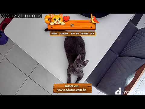 Vídeo de Zé