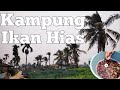 Lokasi Kampung Ikan Hias Palembang