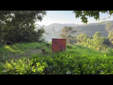 ayokay - Just Right (Official Audio)