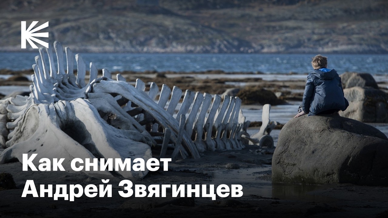 Как понять фильмы Андрея Звягинцева