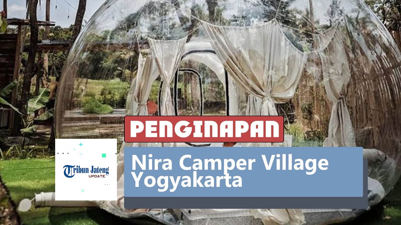 Pohon Nira Nira Camper Village Yogyakarta Bubble Tent yang Pohon Nira Nira Camper Village Yogyakarta Bubble Tent yang