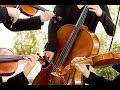 Dona Nobis Pacem | String Quartet