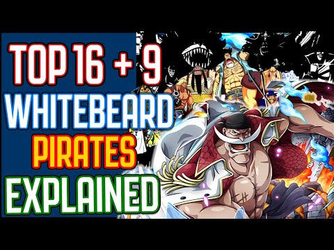 Whitebeard Pirates Revealed! 16 Captains + 9 Secret Legends - Ultimate Guide Explained - One Piece