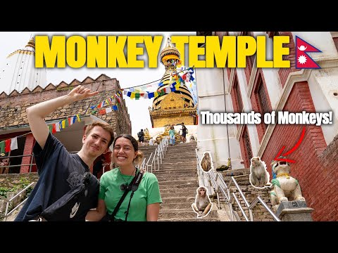 WE COULDN'T WAIT TO VISIT THE MONKEY TEMPLE IN NEPAL 🇳🇵 (Swayambhunath Temple)