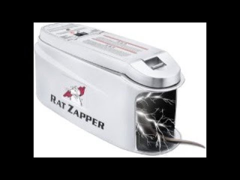 Best Electric Rat Traps Reviews - Zopimo Product Reviews