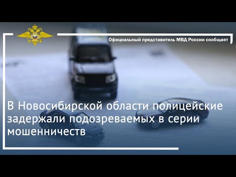 Ирина Волк: В Новосибирской области полицейские задержали подозреваемых в серии мошенничеств