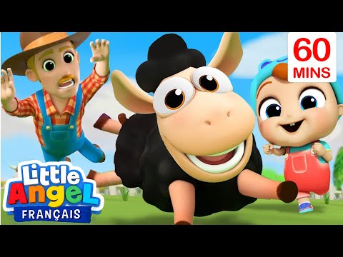 Baa Baa Mouton Noir en Français | @LeMondedeLittleAngelFrançais-C | Dessin Animé