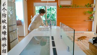 9 Years in Our Home: 6 Natural and Effective Tips to Repel Mosquitoes and Cockroaches