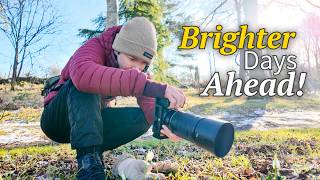 Finding and Photographing The First Signs of Spring