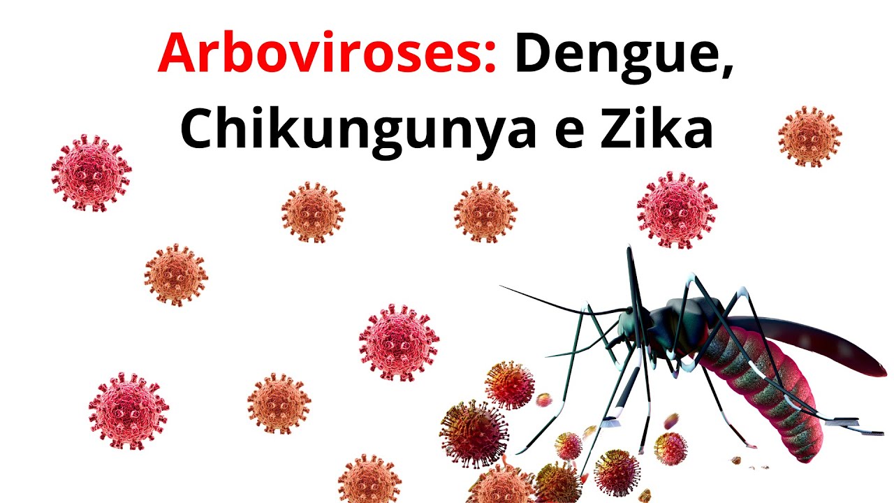 Arboviroses Dengue, Chikungunya e Zika