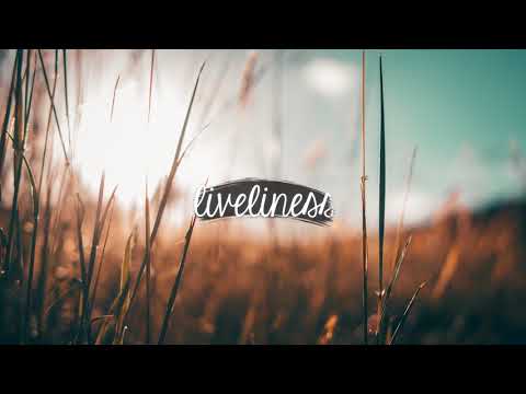 Tomster4Life & Ian Storm & Michael Ford - Stand By Me