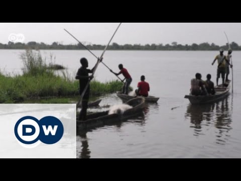 Hippo conservation in Togo | DW English