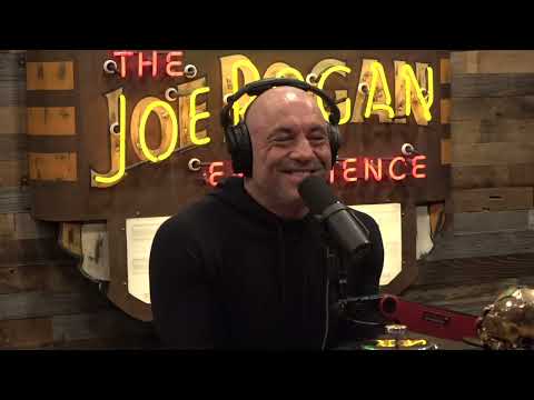 Joe Rogan Experience #1964 - Rick Doblin