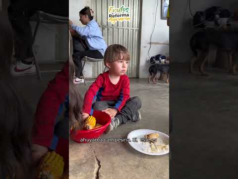 En Pandi, Cundinamarca, la tierra vuelve a dar frutos y esperanza.