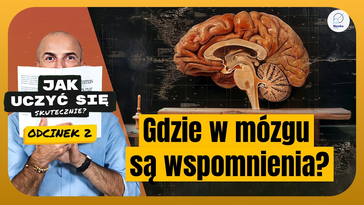Dlaczego zapominamy i jak temu zaradzić? - Kurs Efektywnego Zapamiętywania #2