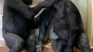 Download lagu KATA BABA mp3 Download lagu KATA BABA mp3