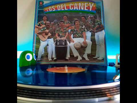 🎵 Los Del Caney - Son Del Caney 🎵