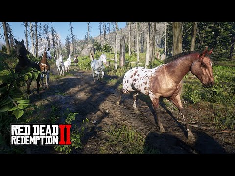 A FAZENDA DE JOHN MARSTON - Trazendo os CAVALOS DE VOLTA - Red Dead Redemption 2