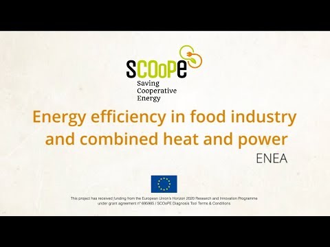 , title : 'SCOoPE 07 - Energy efficiency in food industry and combined heat and power'