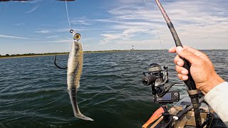 New Waters Fluke 'Limit' | Every Fish & Every Drift Edit