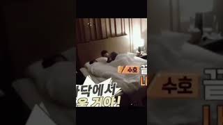 Download lagu Maknae ngak suka dekat2 sm Hyungnya tp ngak bs tidur sendiri🤦‍♂️ ad2 sja nih #exo#suho#sehun mp3