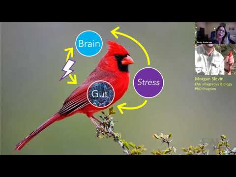 Why Birds Sing, Why it Matters.