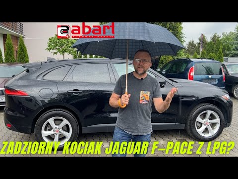 Zadziorny kociak Jaguar F-Pace 2.0 Turbo 250 KM po montażu instalacji gazowej KME w @AbartAutoGazSerwis