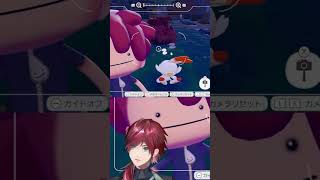 ヒバニーを無言で連写するローレン