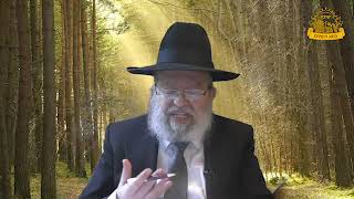 דף היומי בחצי שעה – סנהדרין דף ק”ד