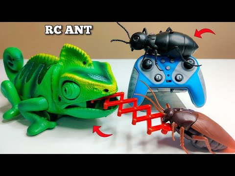 Shocking RC Chameleon Prank Toy Test