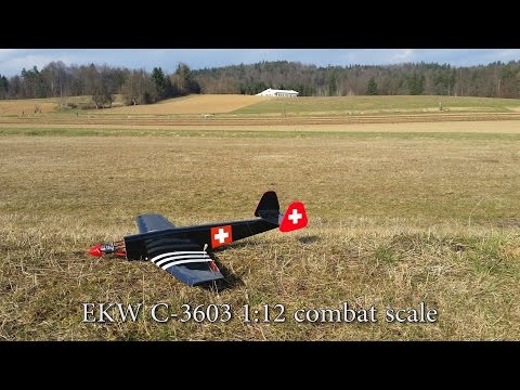 EKW C-3603 aka Swiss (1:12 combat scale) - hatcam footage