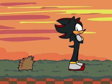 Shadow Meets a Hedgehog