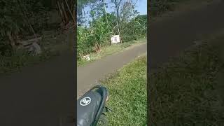 Download lagu moro bagong di leweung #majalengka #mutiarahati #shortvideo mp3
