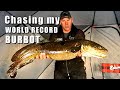 Video Thumbnail for Chasing A WORLD RECORD Burbot