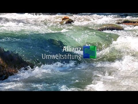 Allianz Umweltstiftung - aktiv für Mensch und Umwelt