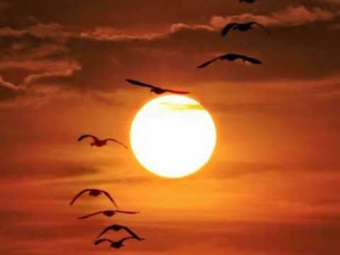 Musikkapelle St. Valentin 2013 - Adebars Reise