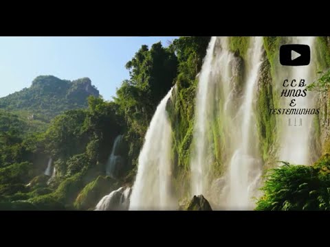 CCB Hinos - 30 Min de Hinos Tocados no Piano - C C B  Hinos e Testemunhos !  HINOSCCB#