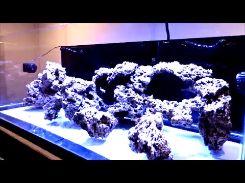 205g Reef Build - Aquascape - Sand - E16