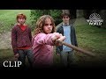 Hermione Granger Vs Draco Malfoy Harry Potter And The Prisoner Of Azkaban