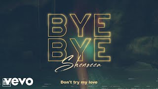 Shenseea - Bye Bye (Official Lyric Video)