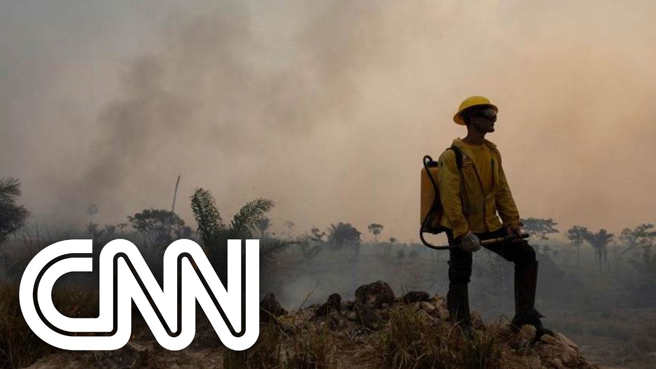 Brasil é o quarto país do mundo que mais mata ativistas ambientais, diz ONG | VISÃO CNN