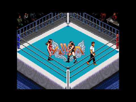 スーパーファイヤープロレスリング クイーンズスペシャル