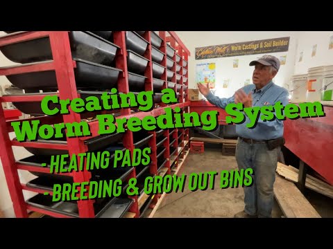 Building a Worm Breeding System from Scratch